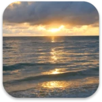 sunset beach live wallpaper android application logo